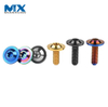 China Factory Custom Hot Sale Fasteners Titanium Screws