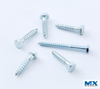 Stainelss Steel Hex Coach Screws