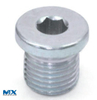 Internal Drive Screw Plugs with Collar - Cylindrical Thread