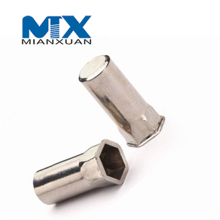 OEM Custom Hexagonal Special Insert Rivet Nuts 8m Hardware Carbon Steel