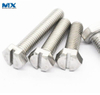 Hex Bolts with Slot or pH Recess