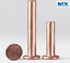 Copper Revit Countersunk Head or Pan Head