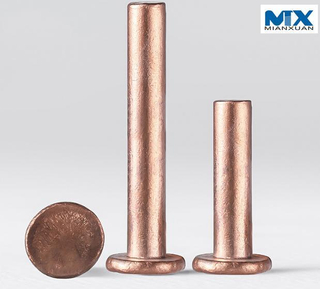 Copper Revit Countersunk Head or Pan Head