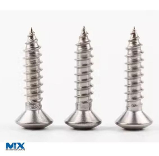 Stainless Steel Cross Recessed Raised Countersunk Head Tapping Screws