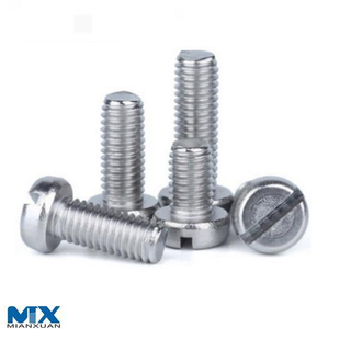 Stainless Steel Slotted Cheese Head Screws