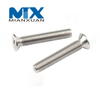 Screw Stainless Steel DIN965