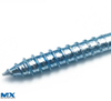 Self Tapping Screw with Rings