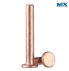 Copper Revit Countersunk Head or Pan Head