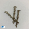 Stainless Steel Cross Recessed Raised Countersunk Head Wood Screws