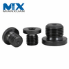 Hexagon Socket Head Flange Insert Plug