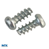 Phillips Pan Threadforming Screw 30 Degree Tapping Plastic