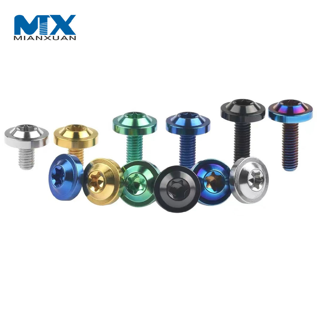 China Factory Custom Hot Sale Fasteners Titanium Screws