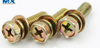 Hex Washer Head Screws with Flange and Round Washer