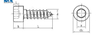 Hex Socket Cap Head Wood Screws