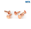 Copper Revit Countersunk Head or Pan Head