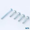 Stainelss Steel Hex Lag Screws
