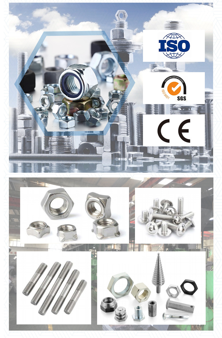 Stainless Steel Bowl Type Conical Washer