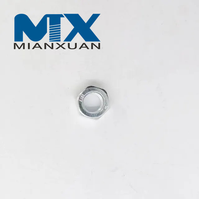 Stainless Steel Hex Nut Metric Fastener
