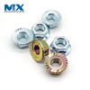 High Quality DIN6923 Stainless Steel 316 M10 Hexagon Flange Nut