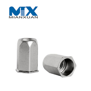 OEM Custom Full Hexagonal Special Insert Rivet Nuts 8m Hardware Carbon Steel