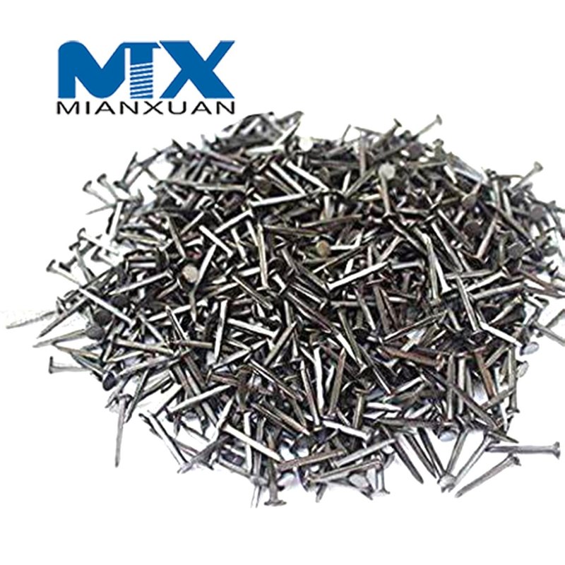 Hardware Stainless Steel Screws and Fastener Steel Round Head Shoe Tacks Nails