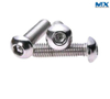 Countersunk or Pan Head Safety Screws with Pin
