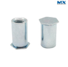 Hex Head Rivet Nuts for Auto