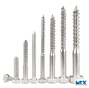 Stainelss Steel Hex Coach Screws