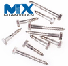 DIN571 Hexagon Head Wood Screw Coach Lag Screw