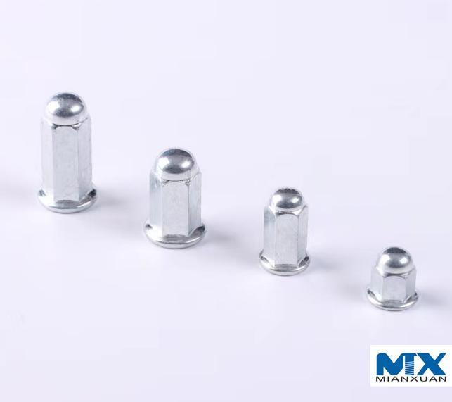 Stainless Steel Hex Flange Nuts with Welded Dome Head