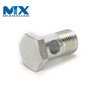 DIN7643 Hydraulic Banjo Fitting Carbon Steel Hollow Banjo Bolt with Hole