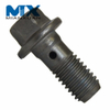 Hollow Banjo Screw Bolt Automotive Fasteners with Two Holes