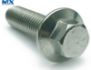 Hexagon Flange Bolts for Construction
