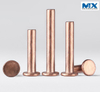 Copper Revit Countersunk Head or Pan Head