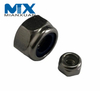 DIN985 Hexagon Nylon Insert Nuts Nylon Self Locking Nuts