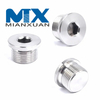 Hexagon Socket Oil Pipe Plugs Hexagon Socket Screw Plug