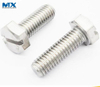 Hex Bolts with Slot or pH Recess