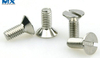 Countersunk Head Slotted Recess Screws