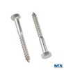 Stainelss Steel Hex Coach Screws