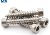 Hex Socket Cap Head Wood Screws