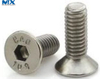 Hexagon Socket Countersunk Head Cap Screws