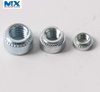 Blind Self-Clinching Nuts for Auto