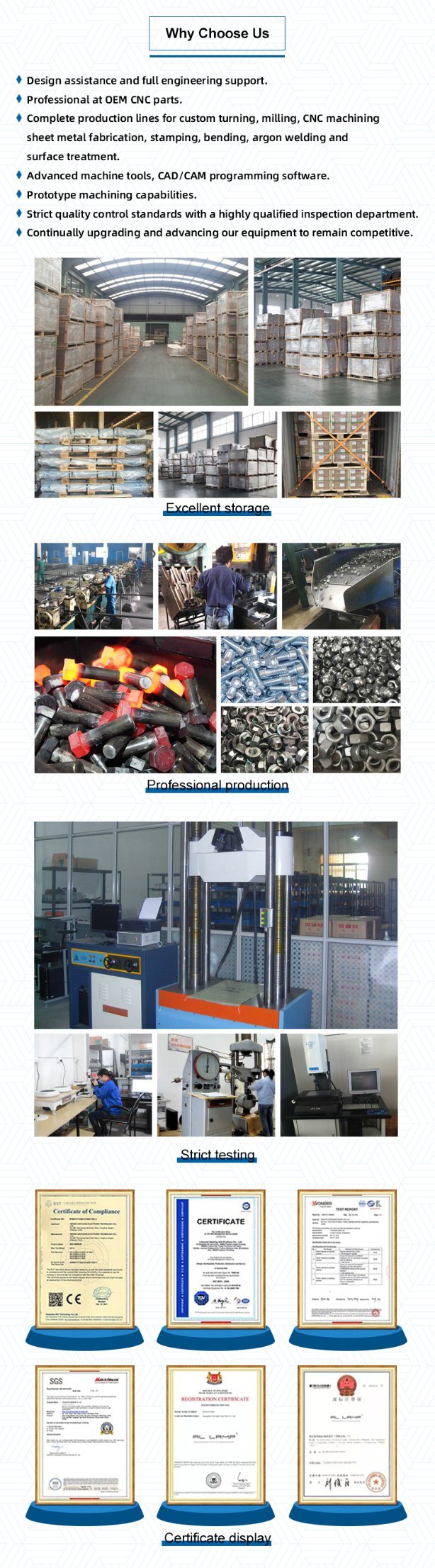 High Quality DIN6923 Stainless Steel 316 M10 Hexagon Flange Nut