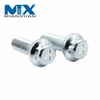 Factory Wholesale Torx-Head Bolt Black Profile Flange Head Torx