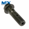 Hollow Banjo Screw Bolt Automotive Fasteners with Two Holes