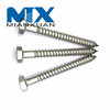 Stainless Steel Hex Head Lag Screw Wood Screws