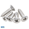 Stainless Steel Cross Recessed Raised Countersunk Head Tapping Screws
