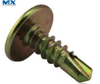 Special Big Round Head Self Tapping/Drilling Screws