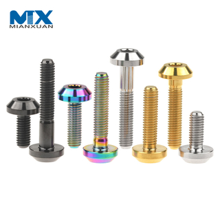 China Factory Custom Hot Sale Fasteners Titanium Screws