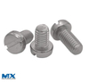 Stainless Steel Slotted Cheese Head Screws